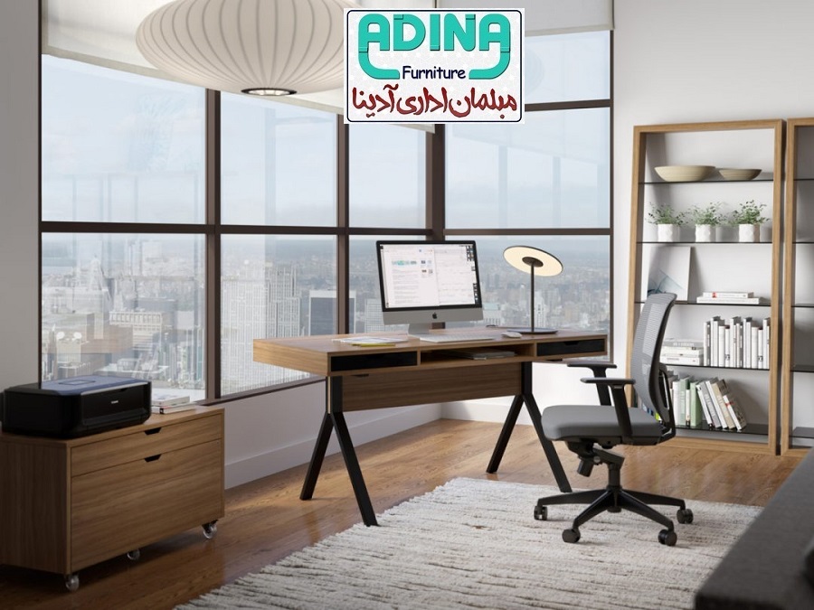 www.adyina.com