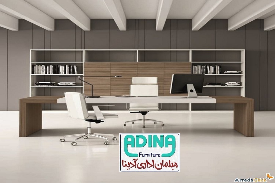 www.adyina.com