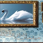 پروژه مبلمان اداری و پروژه تغییر دکوراسیون دفتر اداری