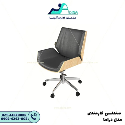 صندلی کارشناسی دراما