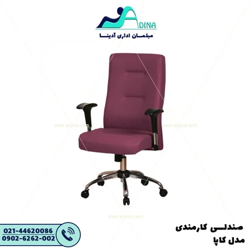 صندلی کارشناسی کاپا