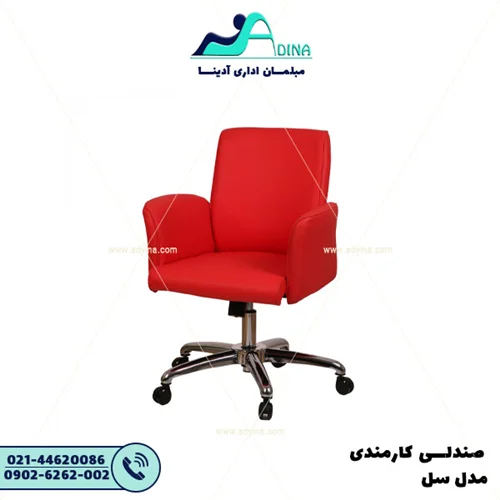 صندلی کارشناسی سل