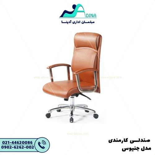 صندلی کارشناسی جنیوس