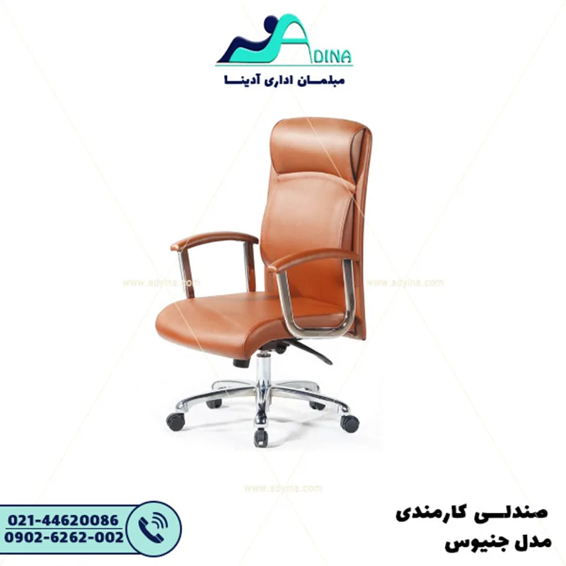 صندلی کارشناسی جنیوس